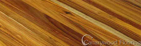 Canary wood floor
